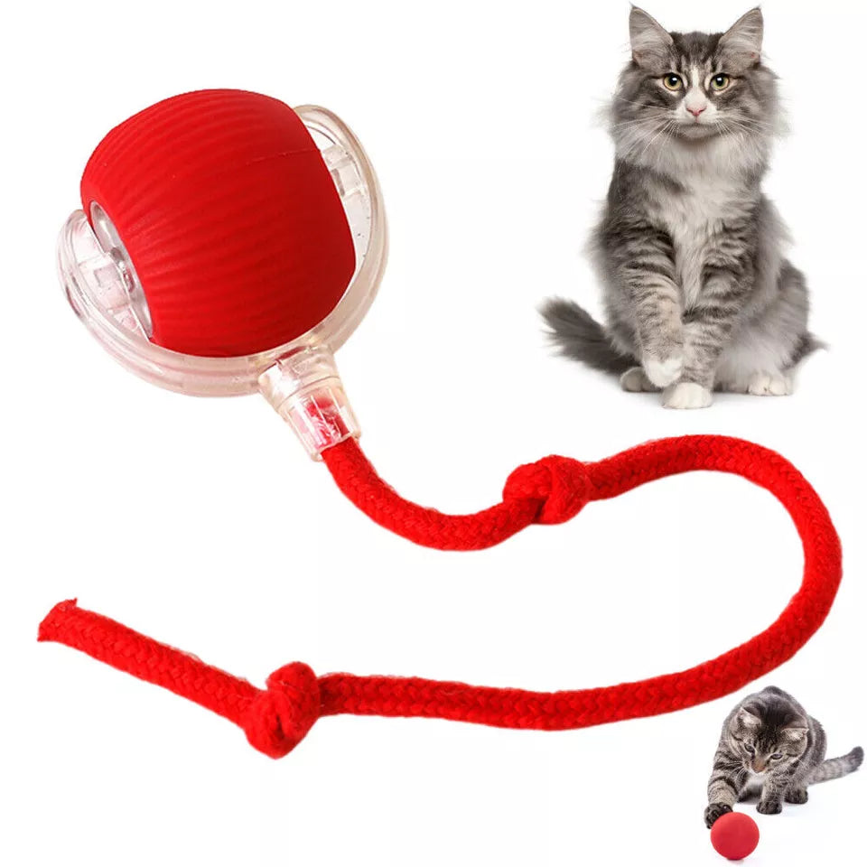 Automatic Cat Interactive Rolling Ball