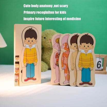 Multi-Layer Children’s Body Structure Puzzle Toys for Boys Girls Educational Kids Intelligence Toy Bright Colors and Cartoon Patterns