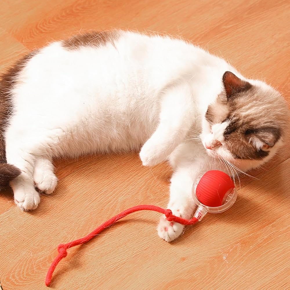 Automatic Cat Interactive Rolling Ball