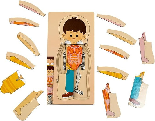 Multi-Layer Children’s Body Structure Puzzle Toys for Boys Girls Educational Kids Intelligence Toy Bright Colors and Cartoon Patterns