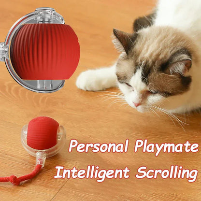 Automatic Cat Interactive Rolling Ball